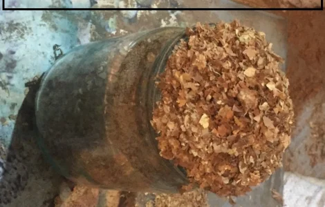 Табак домашній, Вірджінія і Берлі, 100 грн/кг, не гірчить