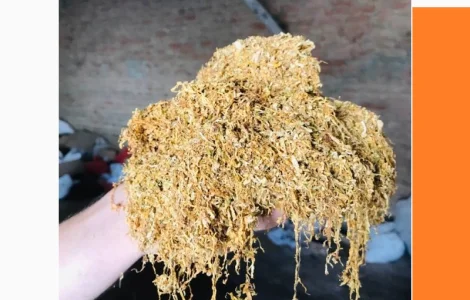 Тютюн лапшою короткою домашний без хімії Берлі і Вірджінія