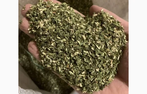 Берлі Вірджінія тютюн домашній – лапша 0.7мм, кровянка