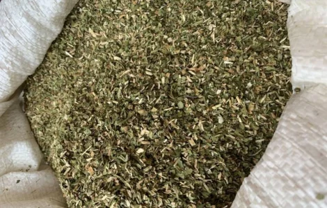 Самосад: крепкий и средний, в наличии Вирджиния и Берли