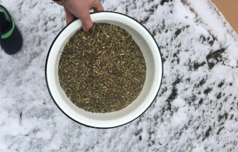 Продается тютюн Махорка 2025 года