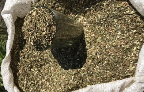 Махорка Табак Самосад - крепкий и ароматный