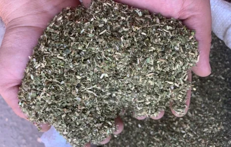 Махорка тютюн вищого сорту