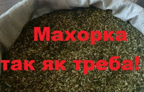 Махорка – крепкий табак по цене 490 грн