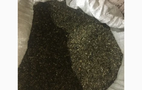 Пропонується домашній табак самосад 1 кг