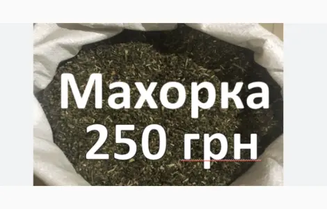 Махорка табак