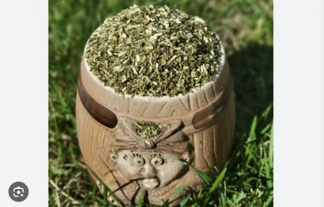 Крепкая и ароматная махорка 2025 года