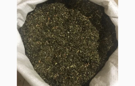 Табак Махорка - крепкий и качественный