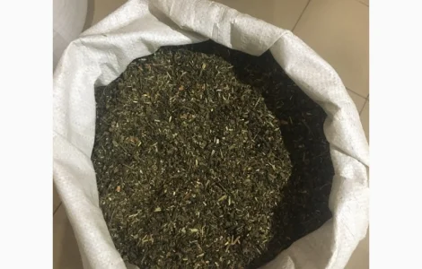 Самосад Махорка для самокруток