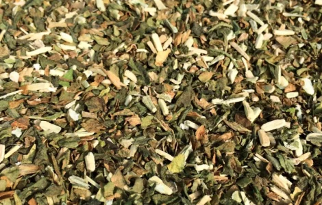 Махорка нового урожая 2025 года