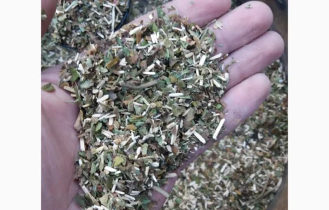 Махорка для самокрутки 2025 года