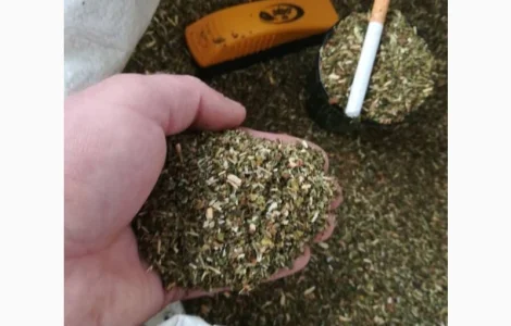 Продажа качественной махорки урожая 2025 года