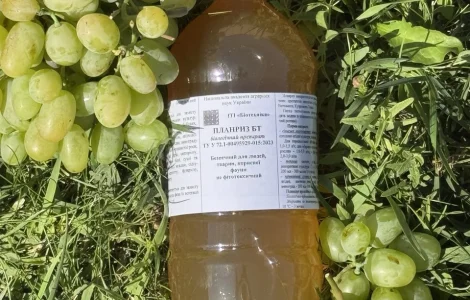 Біопрепарати від виробника, фунгіциди