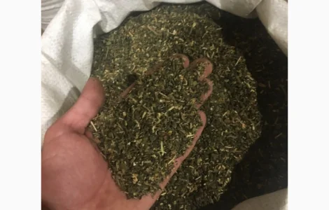 Крепкая махорка 2025 года