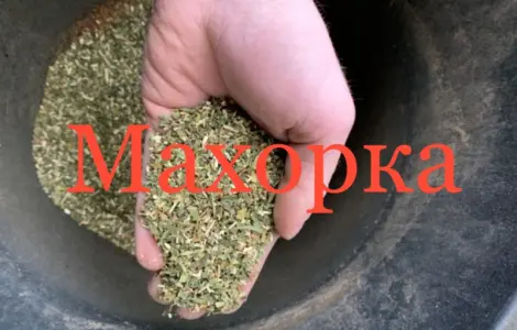 Продам махорка самосад оптом по 599 грн! Табак крепкий