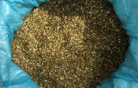 Пропонується махорка вищого сорту без гіркоти і пилу