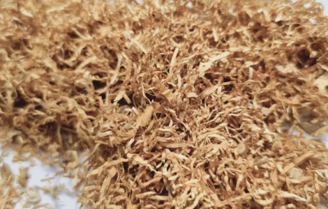 Гавана Вірджинія Руно Голд Махорка – опт