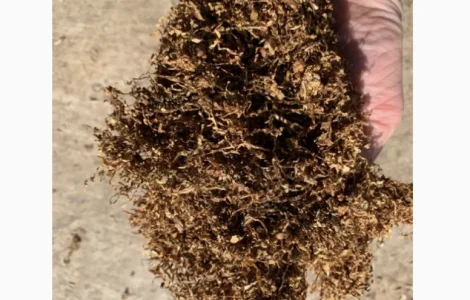 Фабричный табак – широкий ассортимент