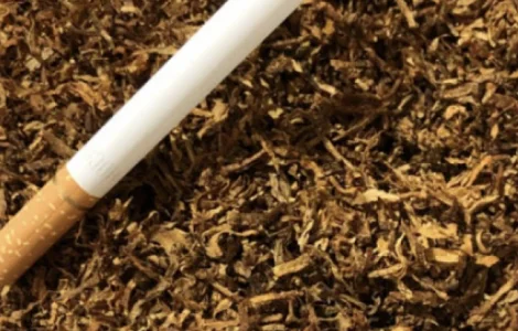 Качественный табак собственного производства различной крепости