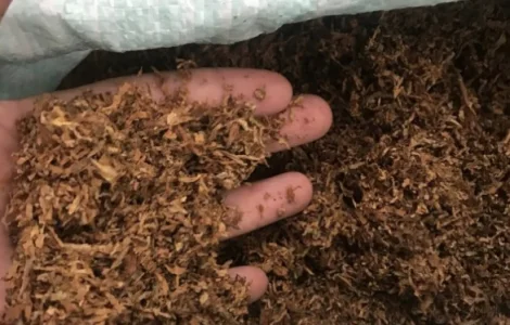 Якісний тютюн Руно у продажу