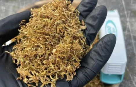 Якісний тютюн оптом та в роздріб, телефонуйте