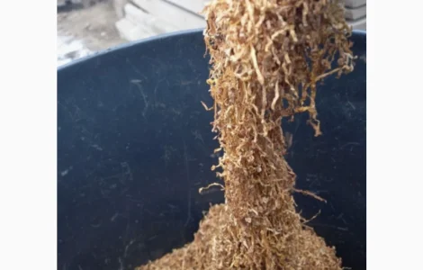 Якісний тютюн Вірджинія на продаж