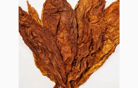 Якісний міцний тютюн Берлі на продаж