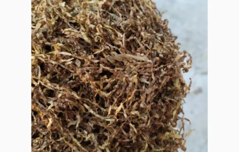 Табак без жилки та пилу