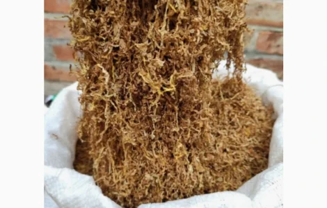 Продажа тютина нарезкой лапша Вірджинія и Берли