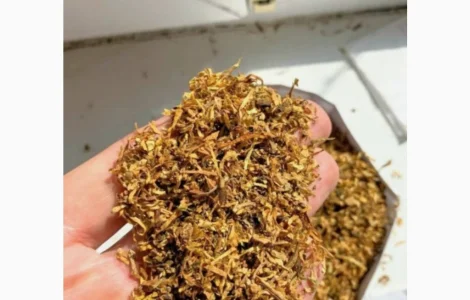 Продается лучший табак 2026 года