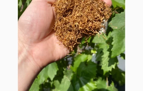 Табак для сигарет - широкий выбор