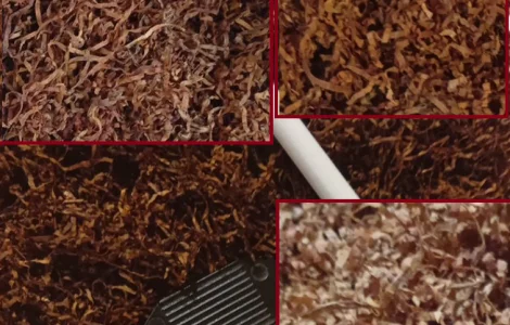 Соусированный микс «Black Power» для истинных ценителей