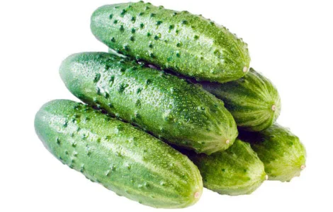Купим огурец