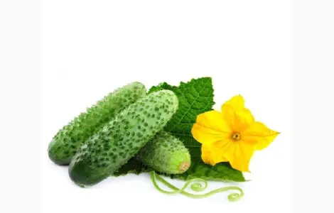 Куплю огурец