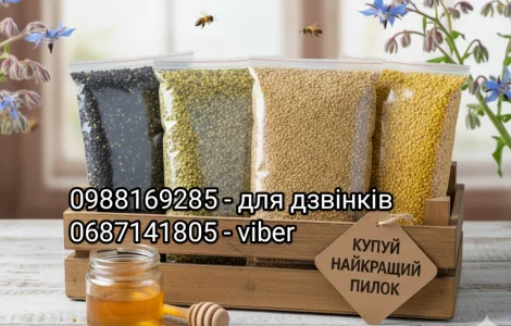 Якісний бджолиний пилок