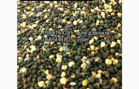 Якісний бджолиний пилок