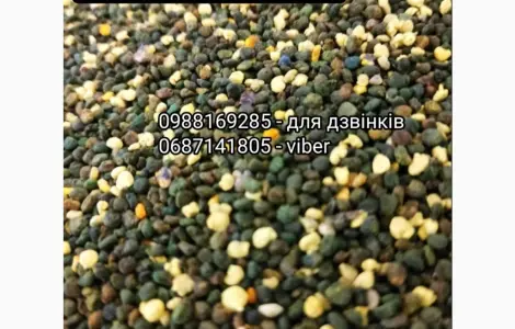 Бджолиний пилок якісний