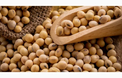 Куплю СОЮ ГМО от 25 тонн