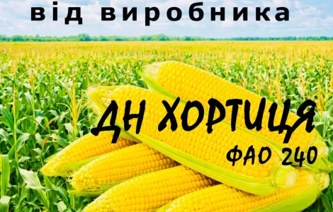 Насіння кукурудзи ДН Хортиця ФАО 240 от производителя Agro_Exprt