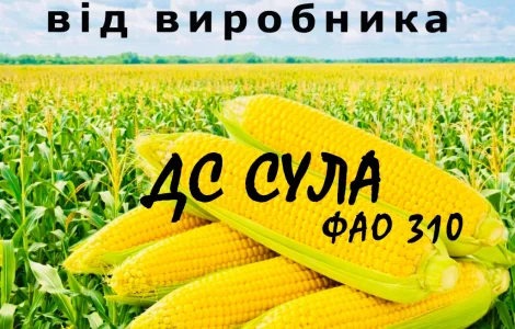 Насіння кукурудзи ДС Сула ФАО 310 от производителя Agro_Exprt