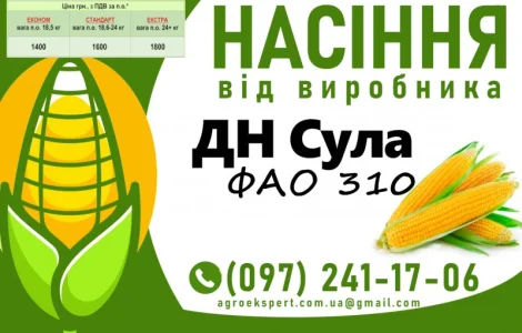 Насіння кукурудзи ДН Сула (ФАО 310) на 2025 год от производителя