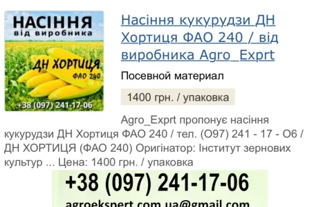 Насіння кукурудзи ДН Хортиця (ФАО 240) від виробника