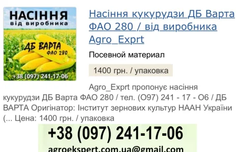 Насіння кукурудзи ДБ Варта (ФАО 280) от Agro_Exprt