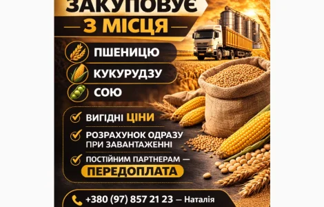 Закупаем зерно с поля / хозяйства – пшеница