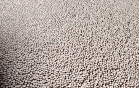 Продам горох жовтий