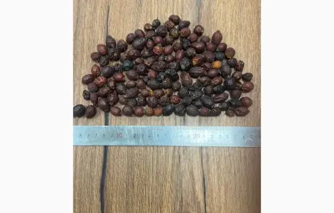 Продам сушеный шиповник