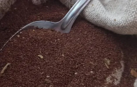 Насіння тютюну вірджинія