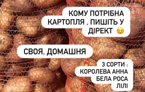 Насіння картоплі Королева Анна та Белла Роса