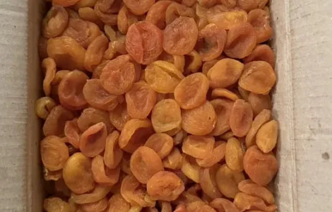 Курага різні види