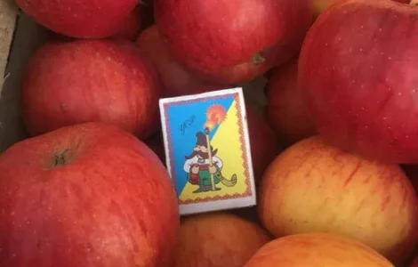 Яблоки различных сортов для сока и переработки